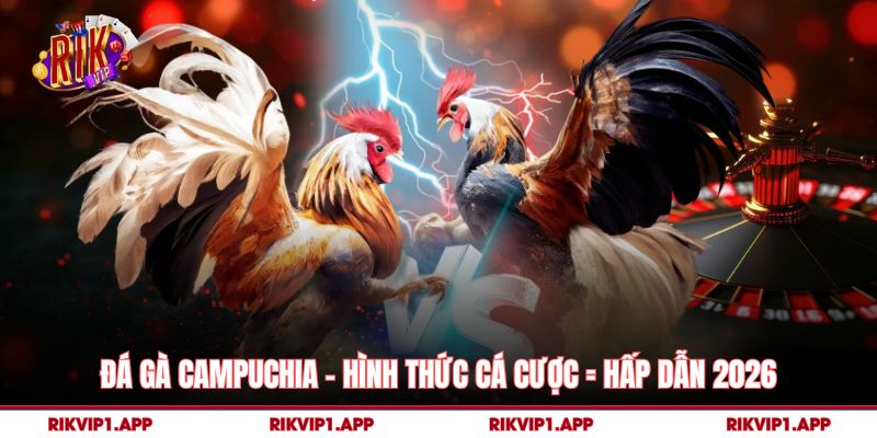 Đá Gà Campuchia – Hình Thức Cá Cược = Hấp Dẫn 2026 9 Đá Gà Campuchia – Hình Thức Cá Cược = Hấp Dẫn 2026